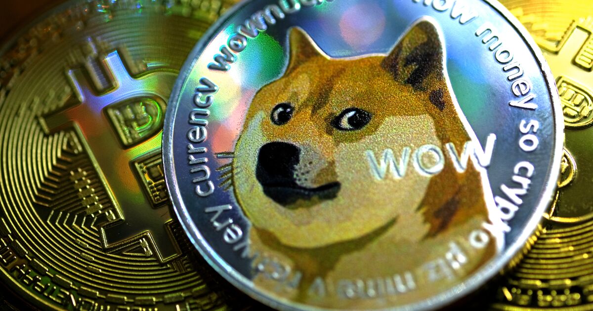 Change dog coins to bitcoins price crypto nerds insider group